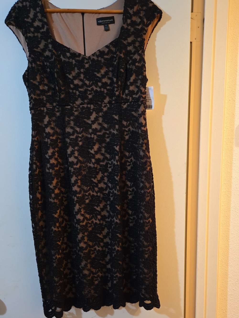 Alex Evenings Black Lace Midi Dress with Nude Lining